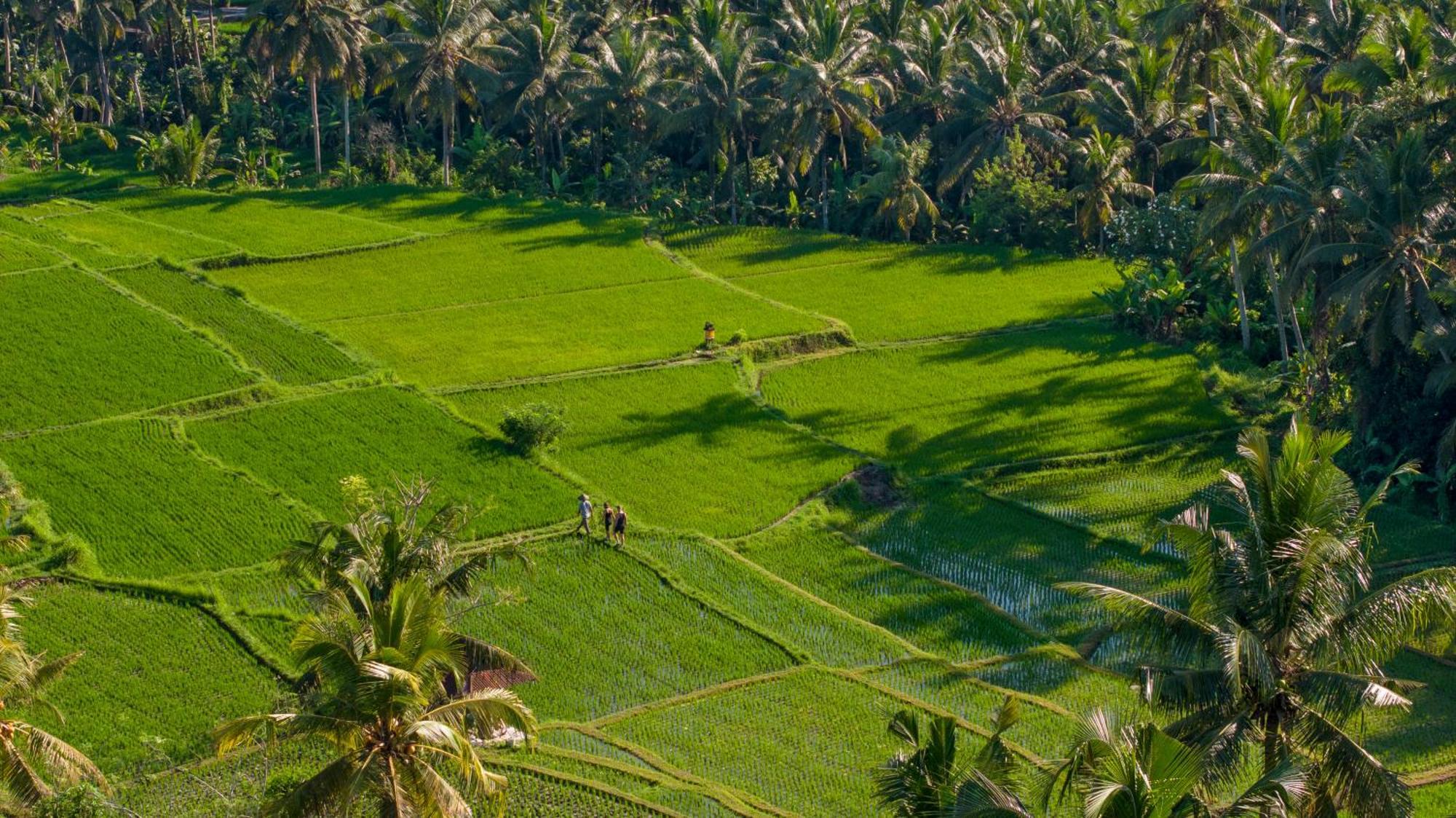 Lasamana Villas Ubud By Pramana Villas Екстер'єр фото